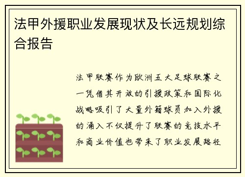法甲外援职业发展现状及长远规划综合报告