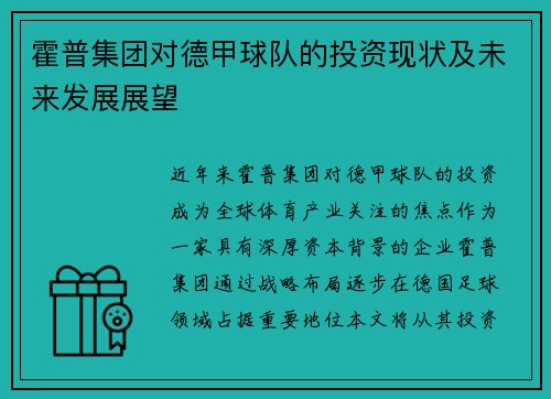 霍普集团对德甲球队的投资现状及未来发展展望